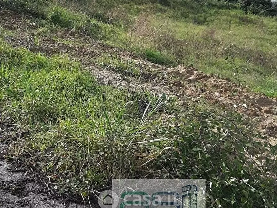 Immagine 1 di Terreno residenziale in vendita  a Martinsicuro