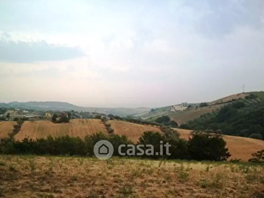 Immagine 2 di Terreno residenziale in vendita  in Strada Provinciale 2 a Controguerra
