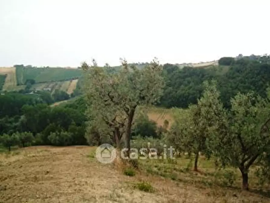 Immagine 3 di Terreno residenziale in vendita  in Strada Provinciale 2 a Controguerra