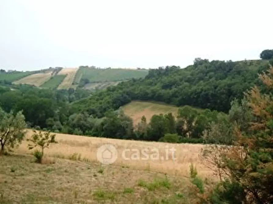 Immagine 5 di Terreno residenziale in vendita  in Strada Provinciale 2 a Controguerra