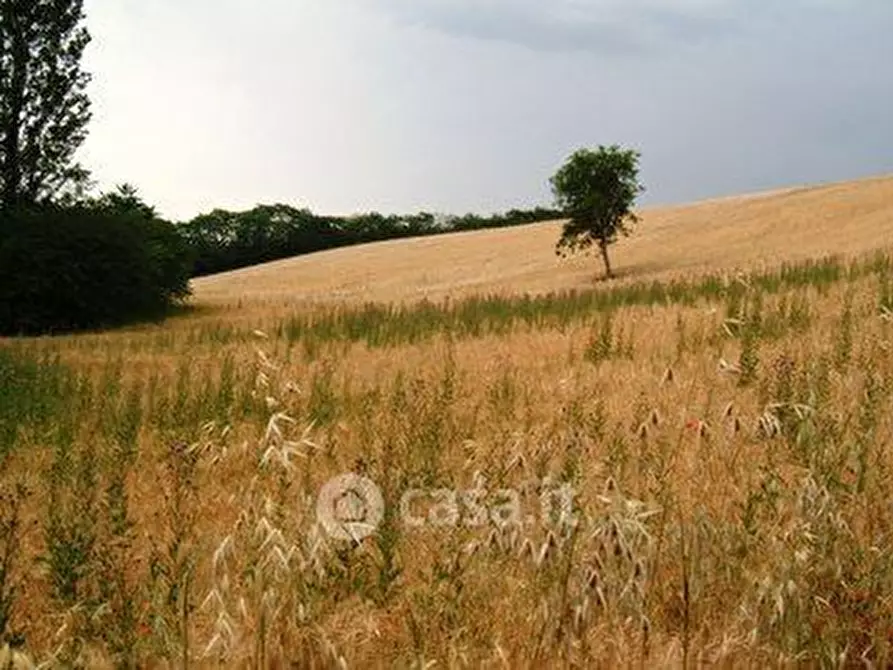 Immagine 7 di Terreno residenziale in vendita  in Strada Provinciale 2 a Controguerra