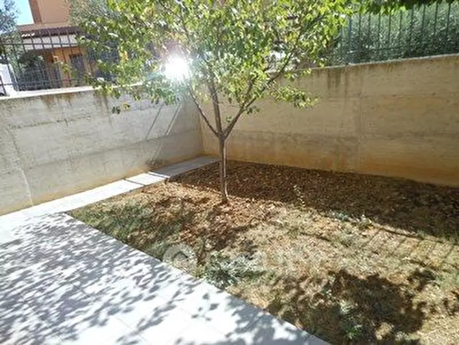 Immagine 15 di Casa bifamiliare in vendita  a Colonnella