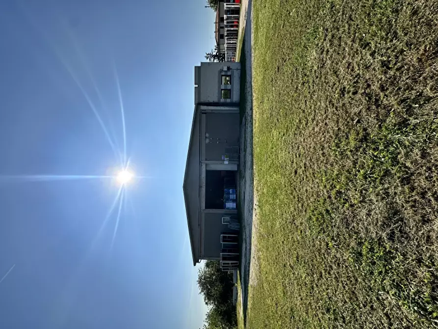 Immagine 2 di Capannone industriale in affitto  in STATALE ROMEA a Mira