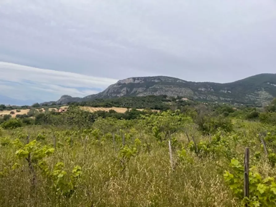 Immagine 29 di Appartamento in vendita  a Capaccio Paestum