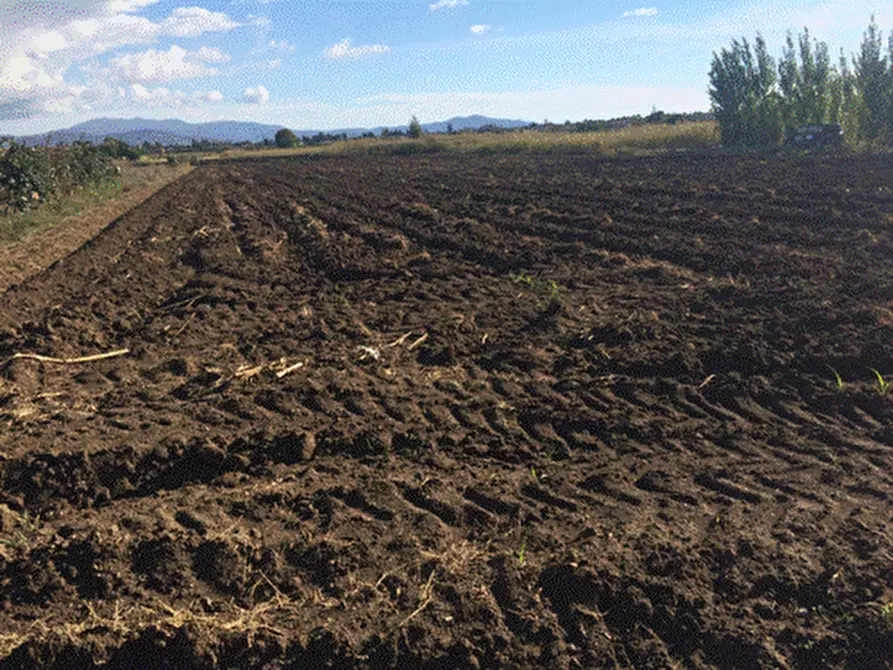 Immagine 1 di Terreno agricolo in vendita  in via dei Cipressi 13 a Capaccio Paestum