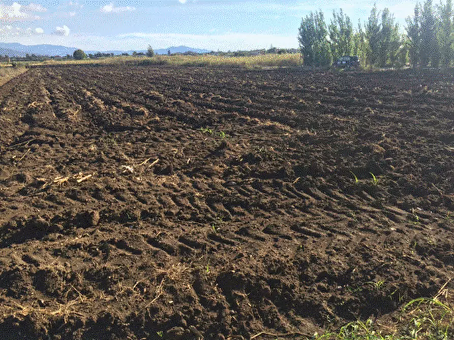 Immagine 2 di Terreno agricolo in vendita  in via dei Cipressi 13 a Capaccio Paestum