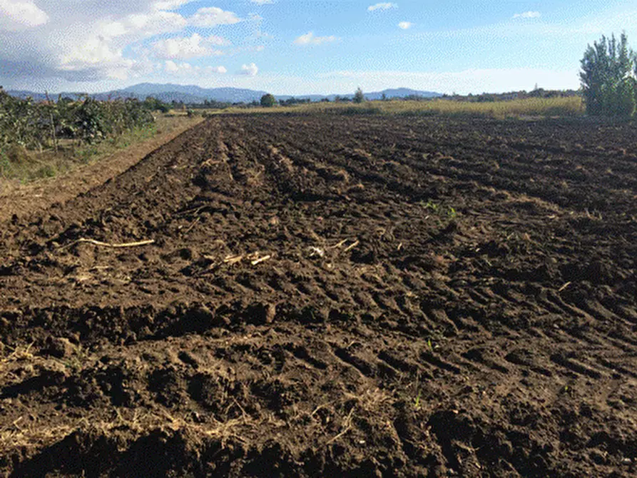 Immagine 5 di Terreno agricolo in vendita  in via dei Cipressi 13 a Capaccio Paestum