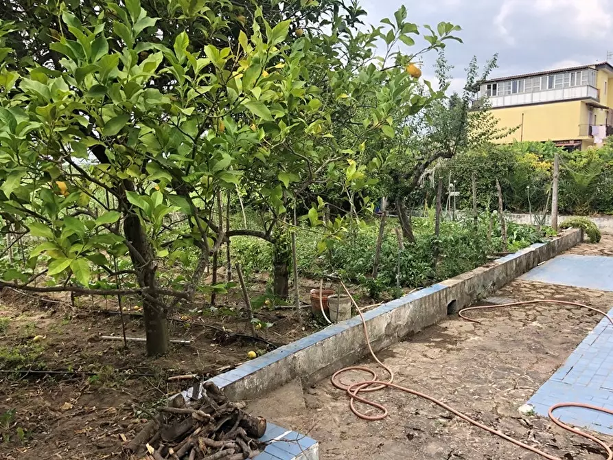 Immagine 2 di Villa in vendita  in via della Giuncaia 43 a Capaccio Paestum