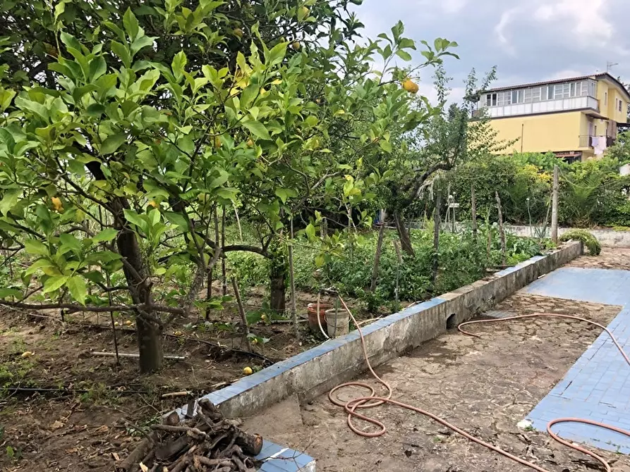 Immagine 4 di Villa in vendita  in via della Giuncaia 43 a Capaccio Paestum