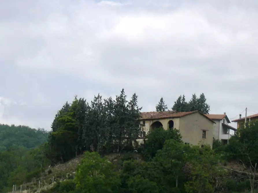 Immagine 12 di Azienda agricola in vendita  in CAVALLERI a Alessandria