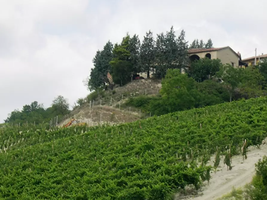Immagine 13 di Azienda agricola in vendita  in CAVALLERI a Alessandria
