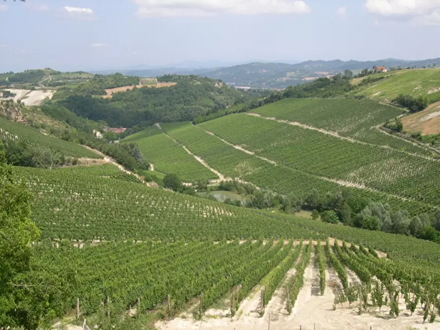 Immagine 19 di Azienda agricola in vendita  in CAVALLERI a Alessandria