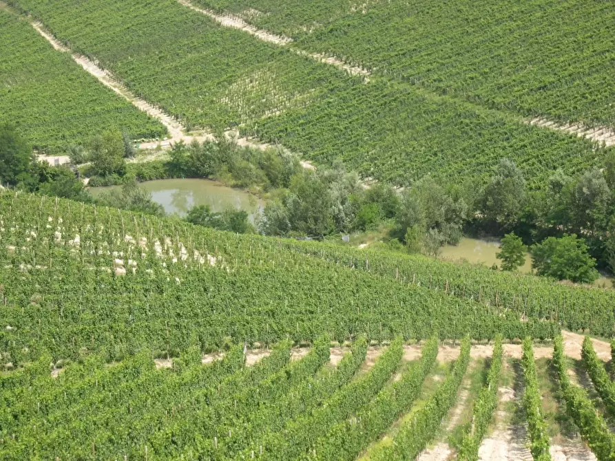 Immagine 20 di Azienda agricola in vendita  in CAVALLERI a Alessandria