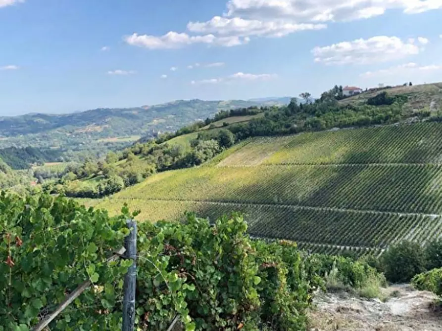 Immagine 2 di Azienda agricola in vendita  in CAVALLERI a Alessandria