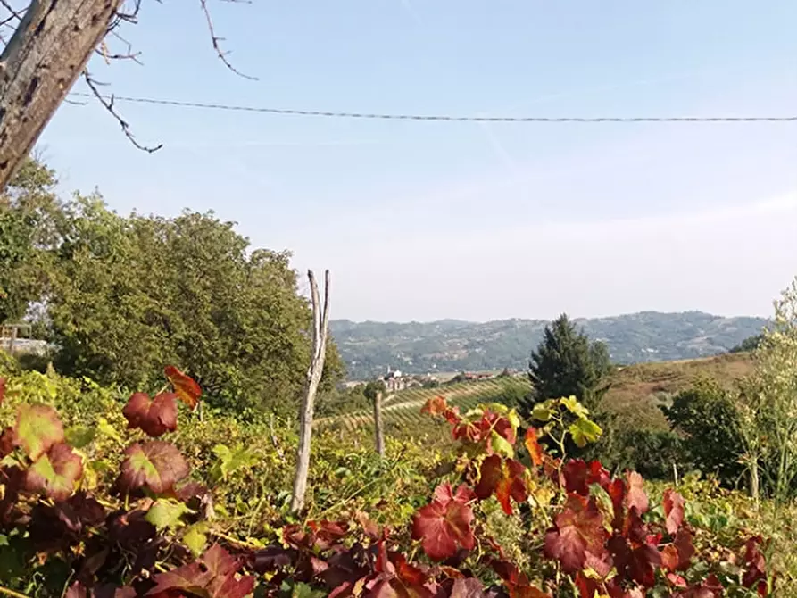 Immagine 4 di Azienda agricola in vendita  in CAVALLERI a Alessandria