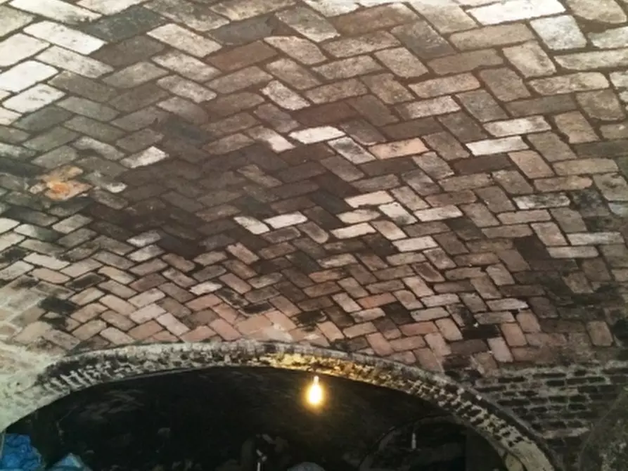 Immagine 14 di Azienda agricola in vendita  in CAVALLERI a Alessandria