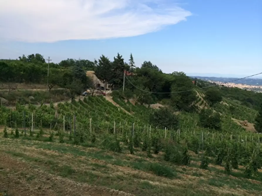 Immagine 3 di Azienda agricola in vendita  in CAVALLERI a Alessandria