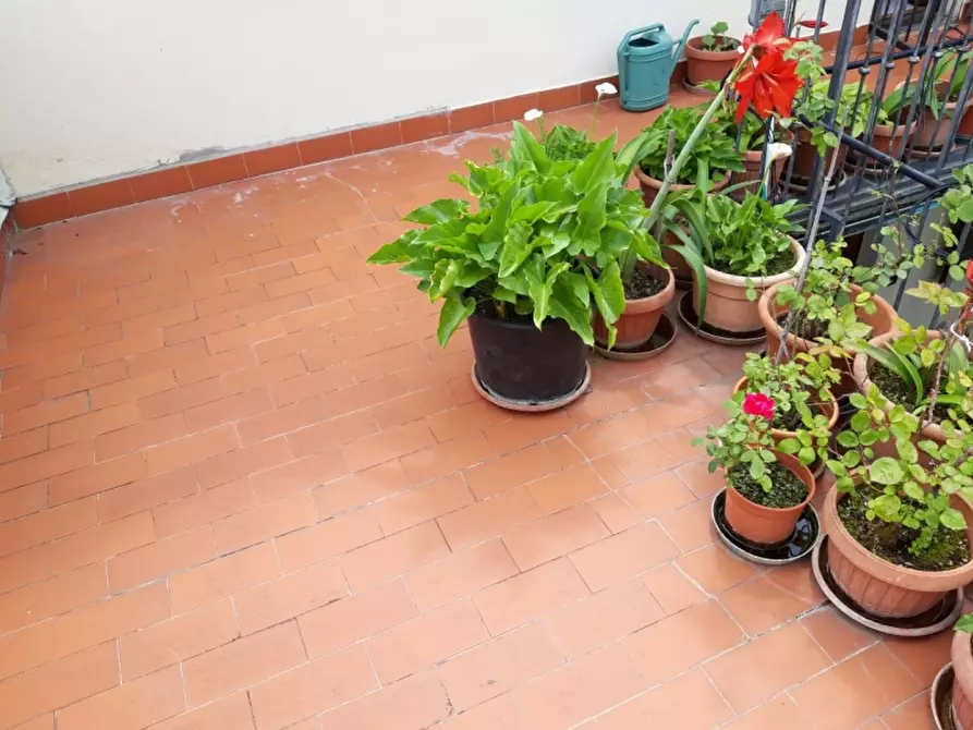 Immagine 20 di Terratetto in vendita  in Via Ugo Foscolo a Montecatini Terme