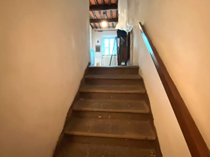 Immagine 17 di Terratetto in vendita  in Via Vicinale di Renaggio (località Nievole) a Montecatini Terme