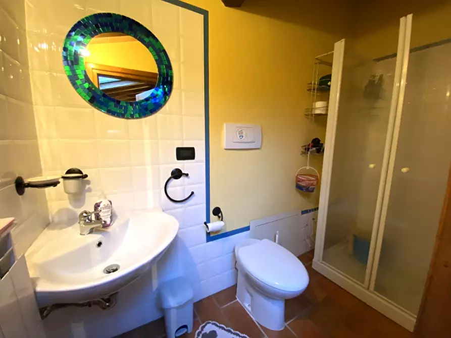 Immagine 11 di Terratetto in vendita  in Località San Quirico a Pescia