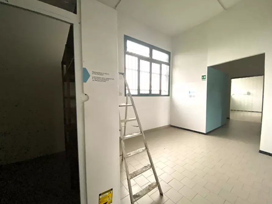 Immagine 23 di Laboratorio in affitto  in del Salsero a Montecatini Terme