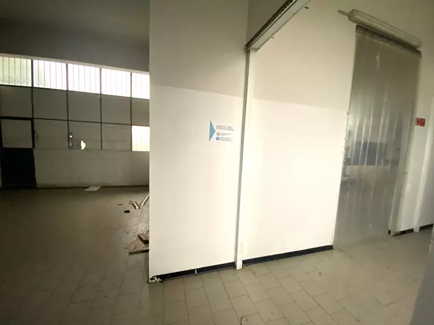 Immagine 7 di Laboratorio in affitto  in del Salsero a Montecatini Terme