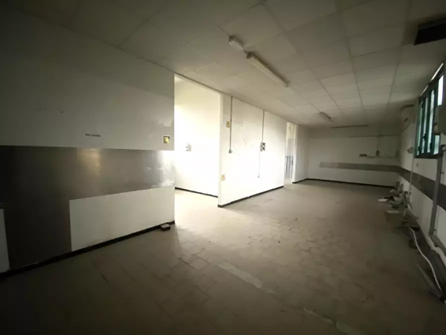 Immagine 10 di Laboratorio in affitto  in del Salsero a Montecatini Terme