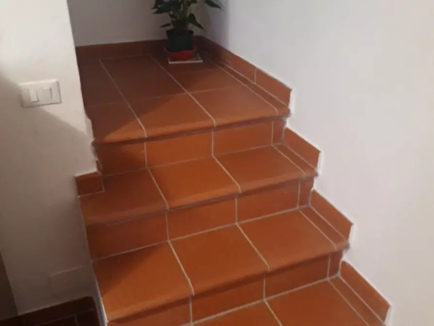 Immagine 18 di Terratetto in vendita  in Via Fanciullacci a Pieve A Nievole