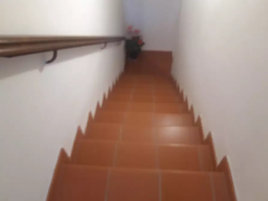 Immagine 9 di Terratetto in vendita  in Via Fanciullacci a Pieve A Nievole