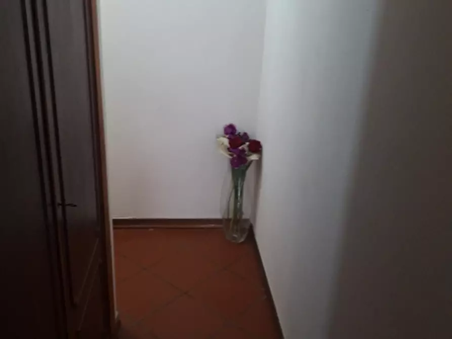 Immagine 23 di Appartamento in vendita  in Via Biscolla a Massa E Cozzile
