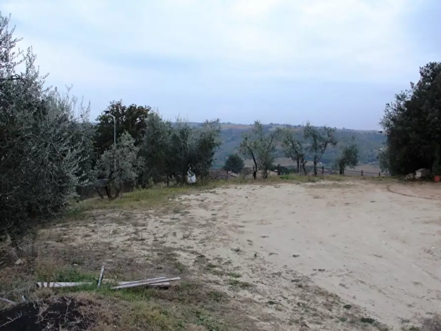 Immagine 2 di Casa indipendente in vendita  a Baschi