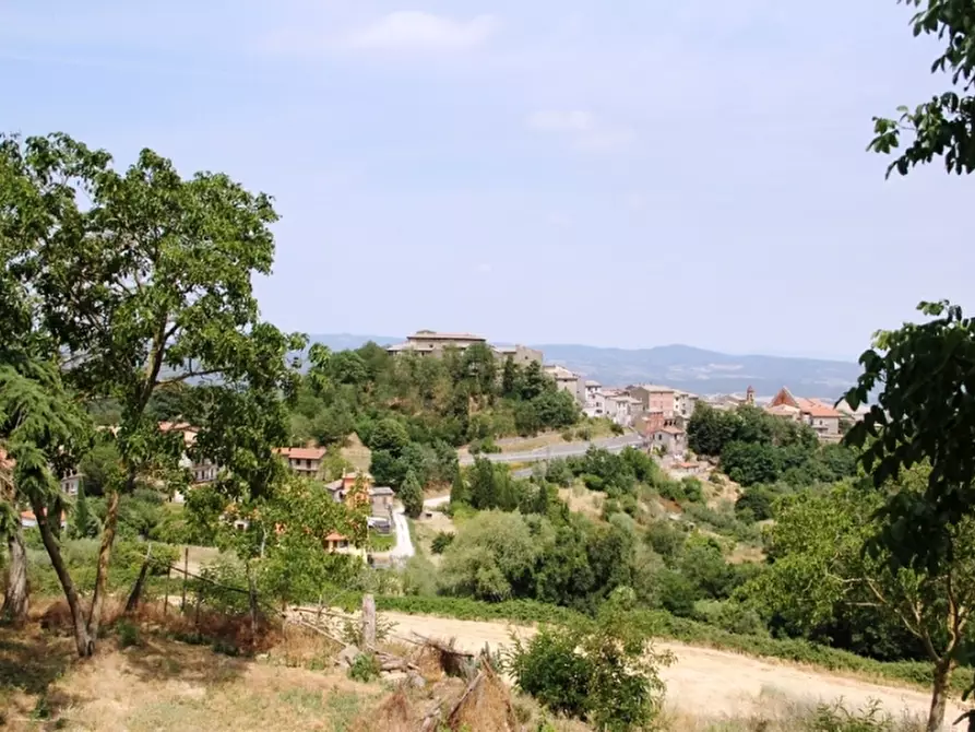 Immagine 3 di Agriturismo in vendita  in Viceno a Castel Viscardo