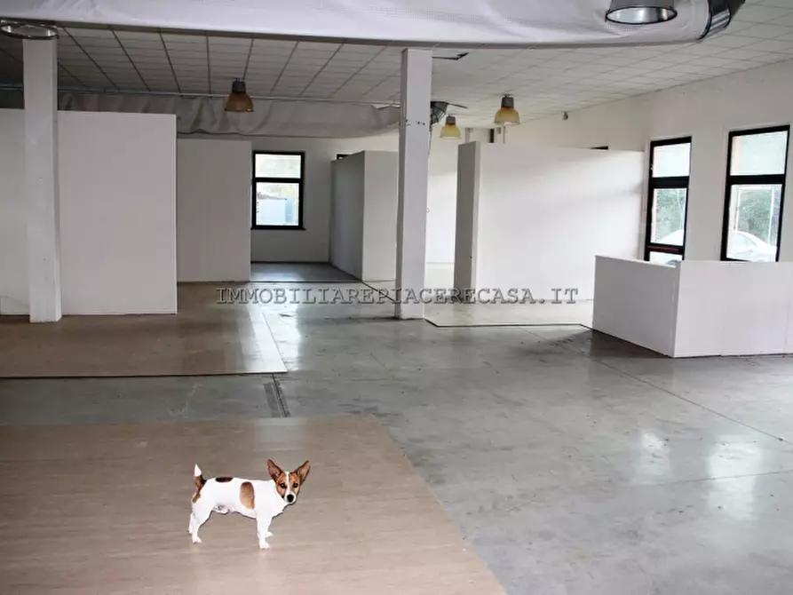 Immagine 2 di Capannone industriale in affitto  a Orvieto