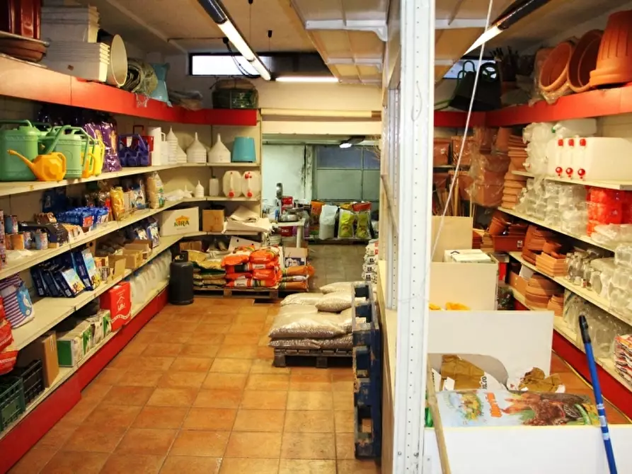 Immagine 3 di Locale commerciale in vendita  a Orvieto