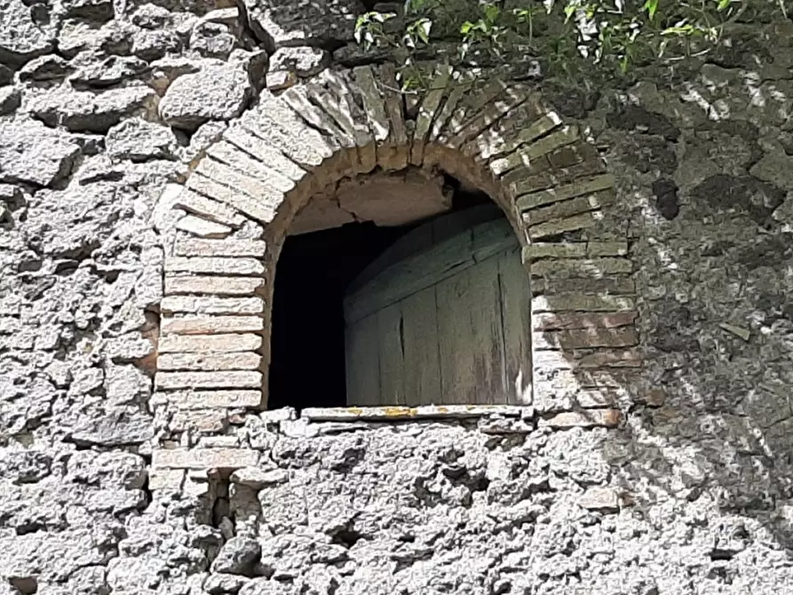 Immagine 3 di Rustico / casale in vendita  a Orvieto