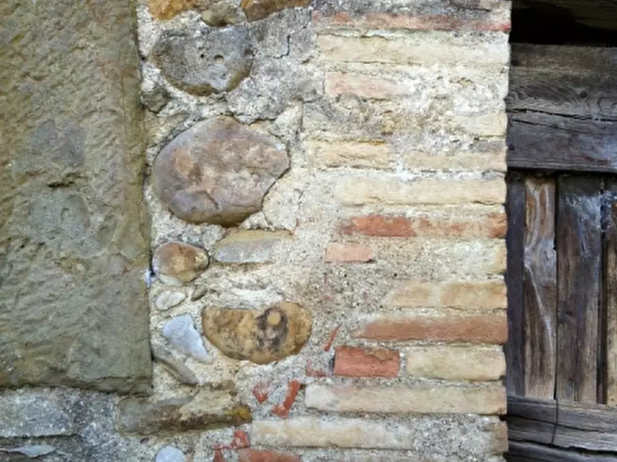 Immagine 13 di Rustico / casale in vendita  in - a Orvieto
