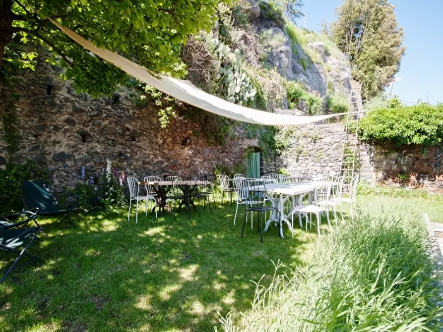 Immagine 14 di Attività commerciale in vendita  in Bagnoregio a Bagnoregio