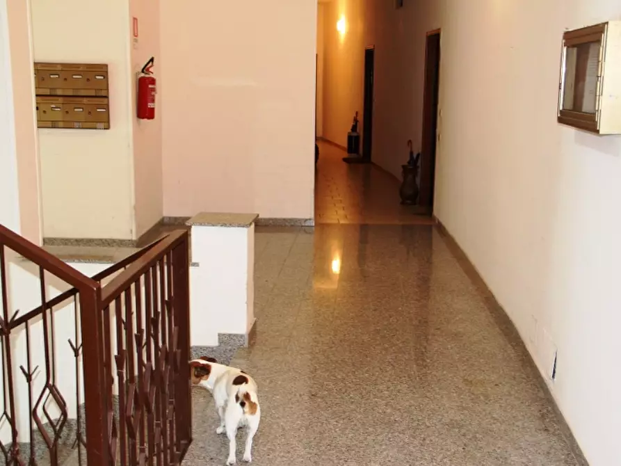 Immagine 12 di Appartamento in vendita  a Castel Viscardo