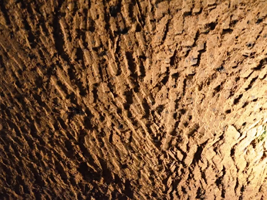 Immagine 11 di Locale commerciale in vendita  a Orvieto