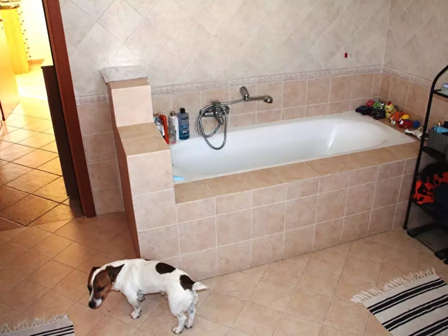 Immagine 11 di Casa semindipendente in vendita  in sferracavallo a Orvieto