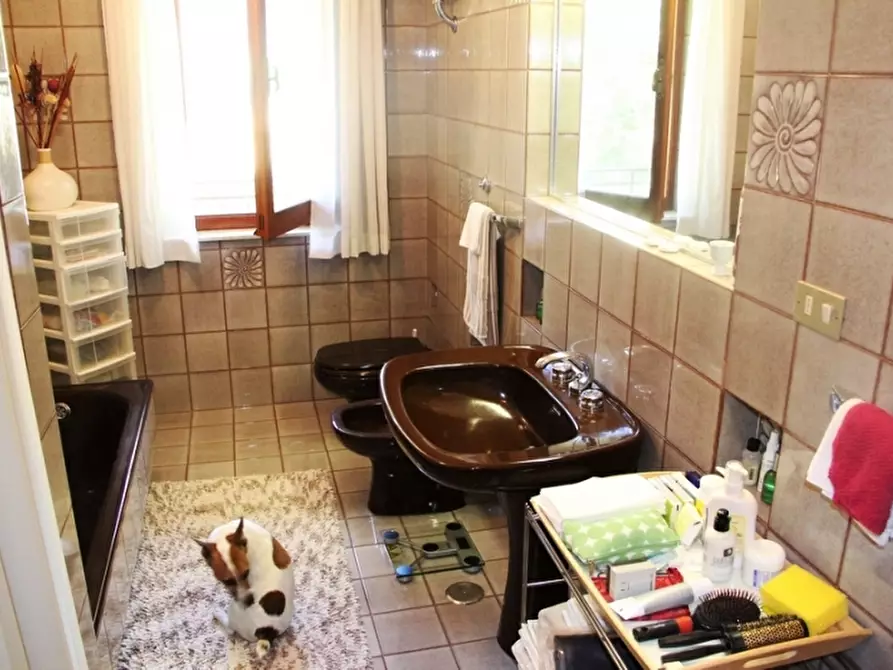 Immagine 13 di Villa in vendita  a Orvieto