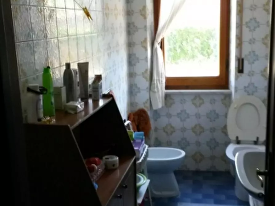 Immagine 5 di Appartamento in vendita  a Porano