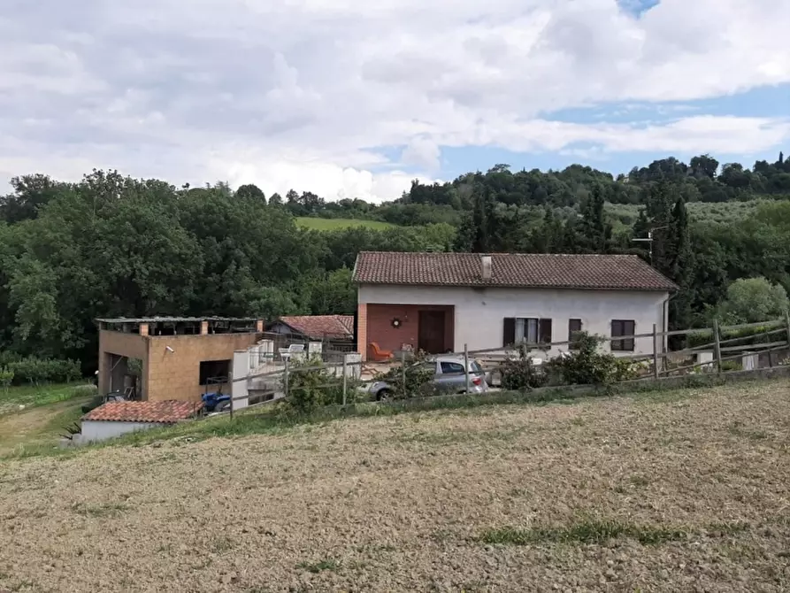 Immagine 4 di Casa indipendente in vendita  a Orvieto