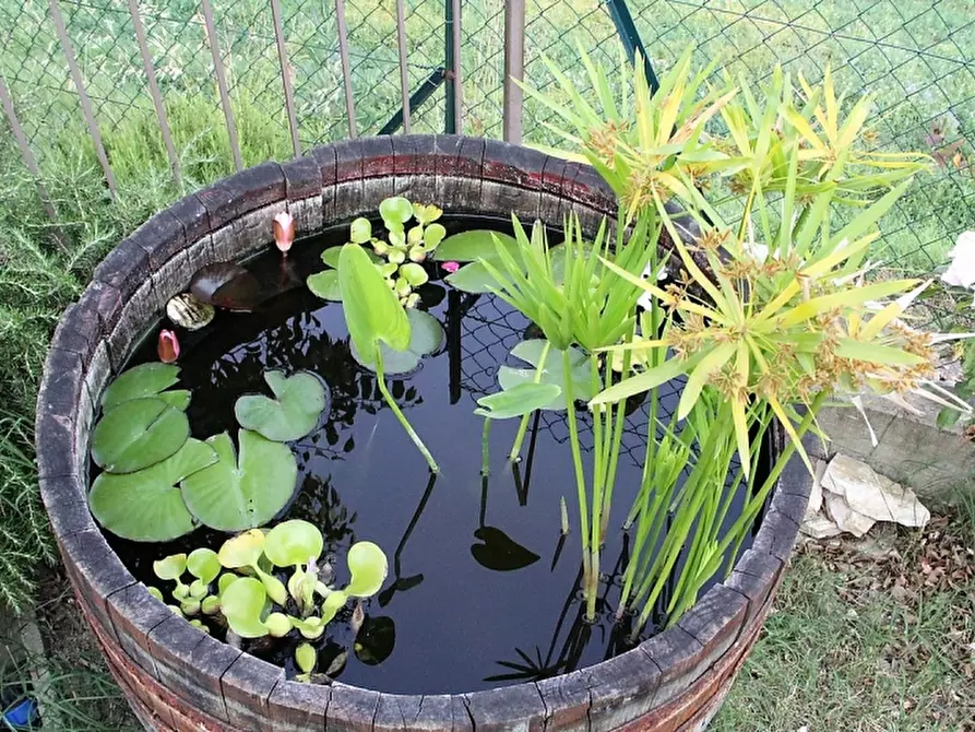 Immagine 14 di Villetta a schiera in vendita  in Sferracavallo a Orvieto