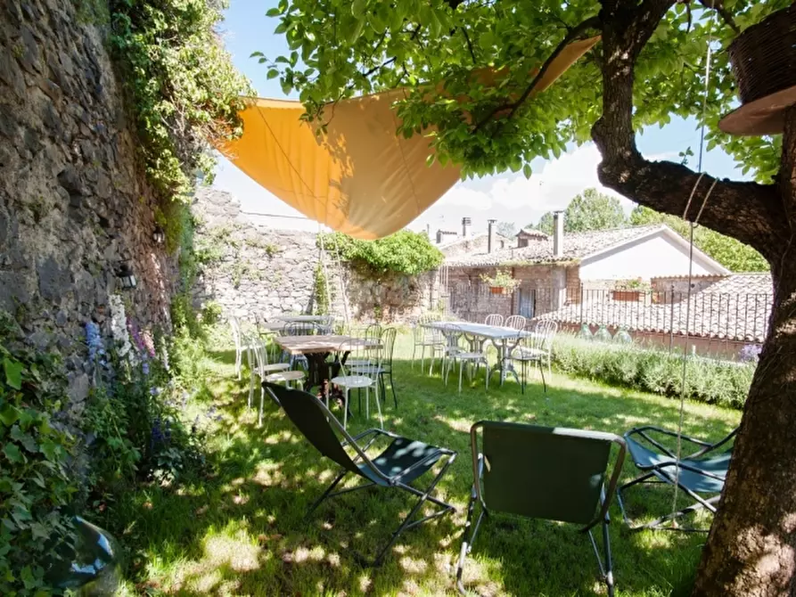 Immagine 13 di Attività commerciale in vendita  in Bagnoregio a Bagnoregio