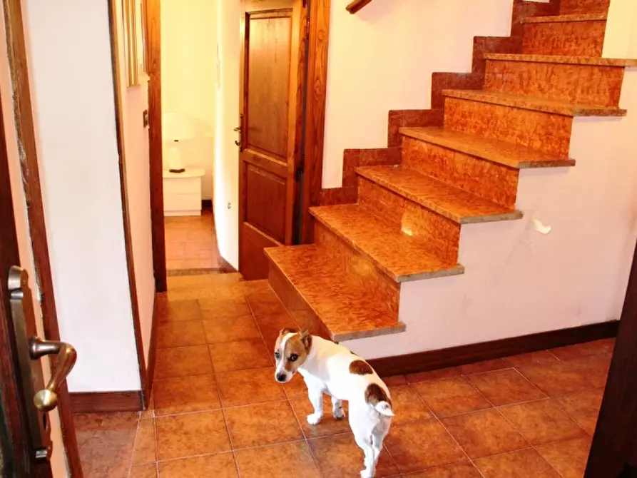 Immagine 13 di Appartamento in vendita  a Baschi