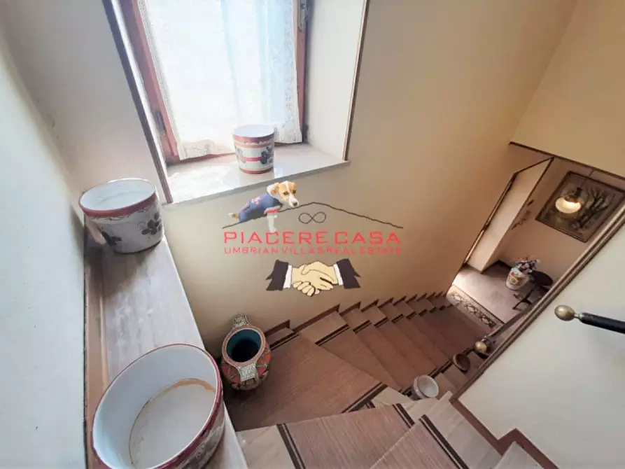 Immagine 7 di Casa indipendente in vendita  in Piazza Ascanio Vitozzi a Castel Giorgio