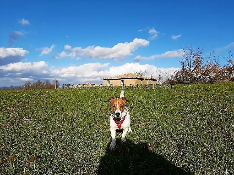 Immagine 15 di Rustico / casale in vendita  in Circondario di Orvieto a Orvieto