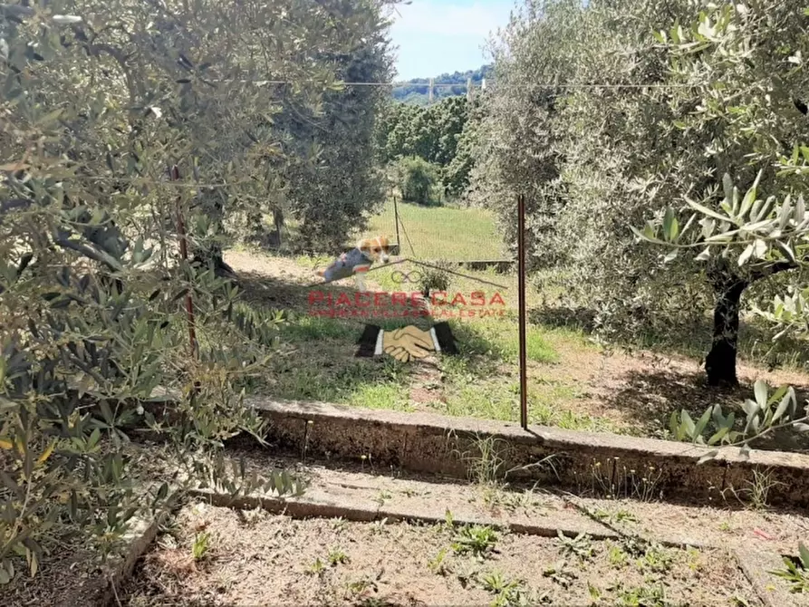 Immagine 8 di Casa semindipendente in vendita  in - a Orvieto
