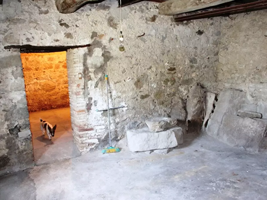 Immagine 18 di Appartamento in vendita  a Baschi